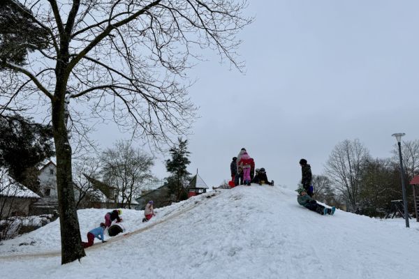 schnee1E38BFA31-266D-E3B1-9349-20226293102D.jpeg