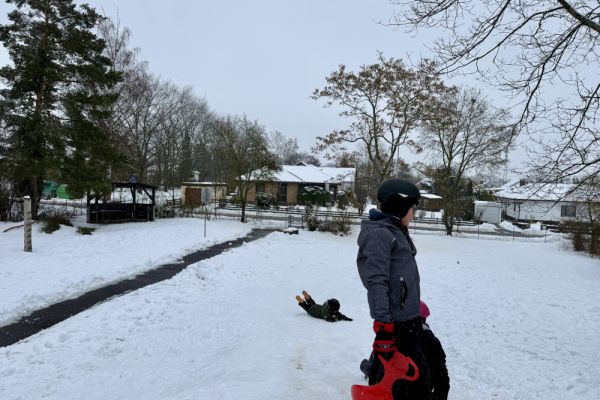 schnee395013D81-A98A-18BF-3649-87106DCB7656.jpeg